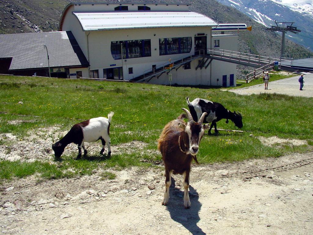 Apartamento Haus Erle Saas-Grund Exterior foto